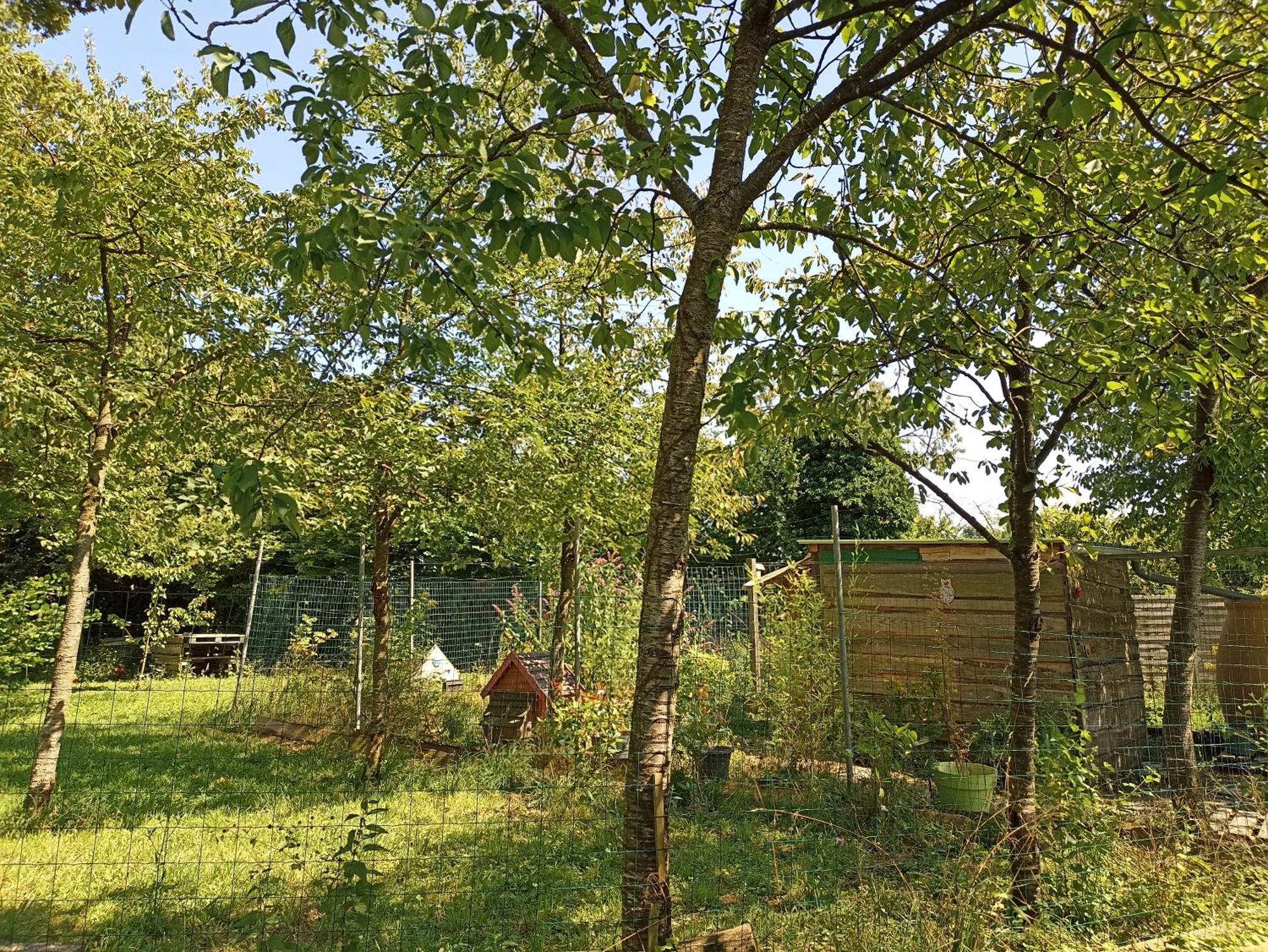 Gite Nature Et Detente Aubreville Exterior photo